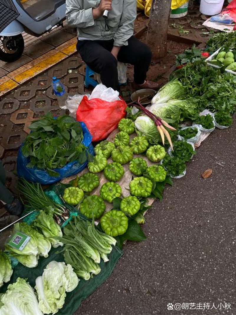 云南蔬菜批发