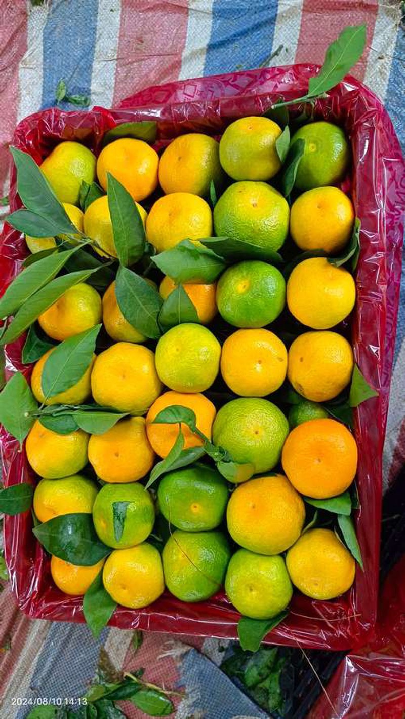 昆明水果批发市场：新鲜水果的集散地