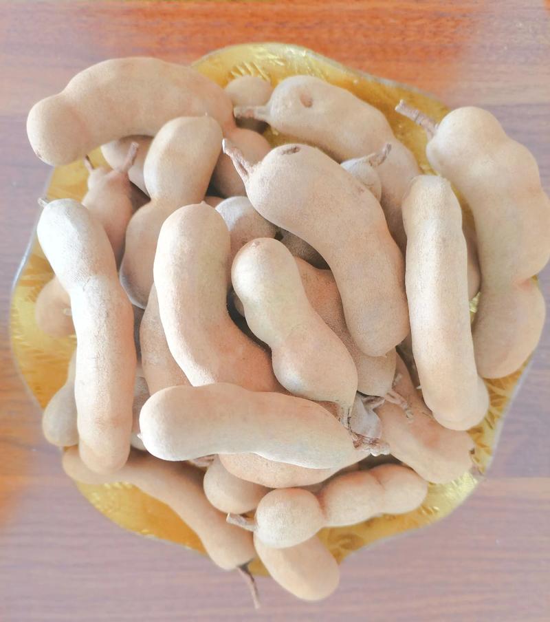 云南蔬菜的绿色物流——新鲜直达您的餐桌